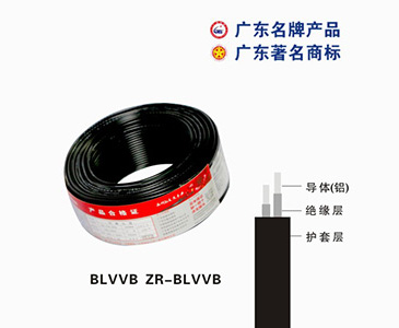 BLVVB ZR-BLVVB珠江电缆