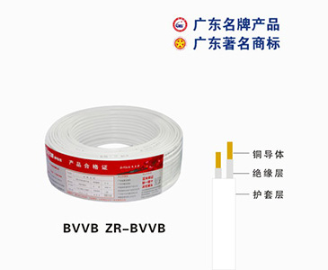 BVVB ZR-BVVB珠江电缆