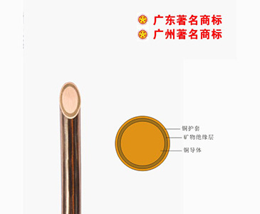 BTTZ-750V矿物质电缆